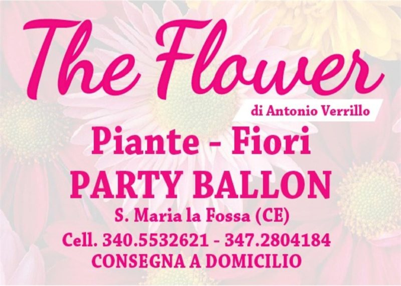 Flower